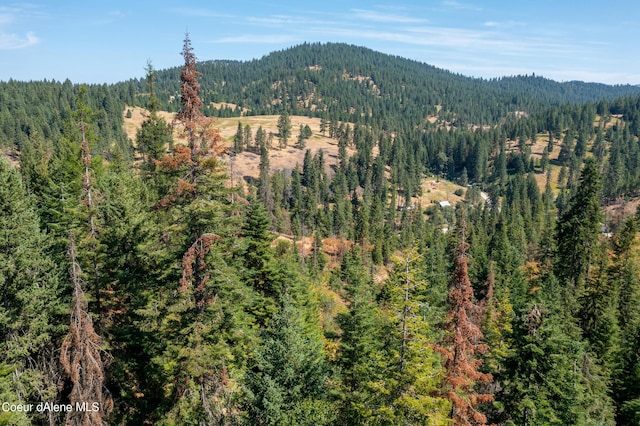 NNA E Bell Canyon Rd, Harrison, ID 83833