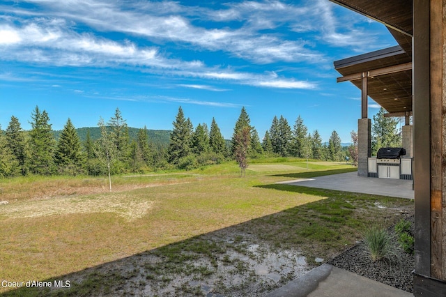 15055 S Chalk Hill Dr, Coeur Dalene, ID 83814 - photo 41