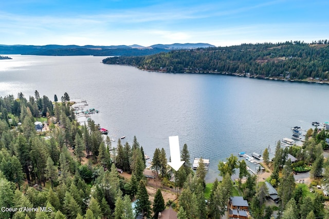 7196 W Tribal Camp Ln Unit A, Coeur Dalene, ID 83814 - photo 30