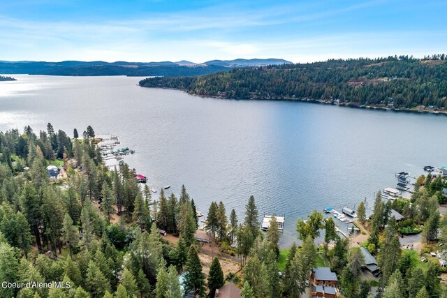 7196 W Tribal Camp Ln Unit A, Coeur Dalene, ID 83814 - photo 31