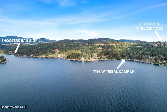 7196 W Tribal Camp Ln Unit A, Coeur Dalene, ID 83814 - photo 33