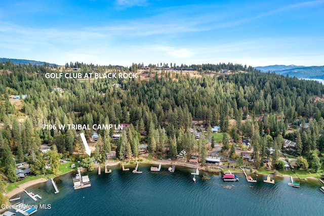 7196 W Tribal Camp Ln Unit A, Coeur Dalene, ID 83814 - photo 34