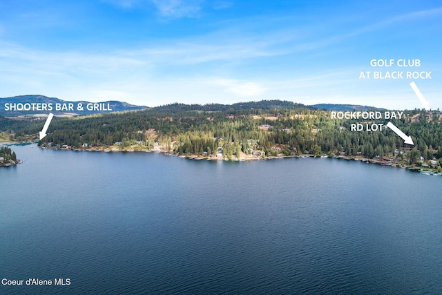 7196 W Tribal Camp Ln Unit A, Coeur Dalene, ID 83814 - photo 39