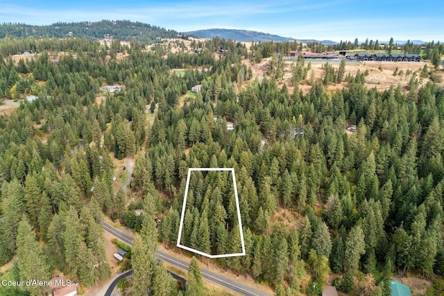 7196 W Tribal Camp Ln Unit A, Coeur Dalene, ID 83814 - photo 40