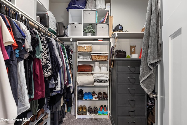 5441 W Gumwood Cir, Post Falls, ID 83854 - spacious closet featuring carpet floors