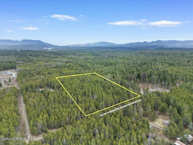 NKA E Trinity Ln, Athol, ID 83801