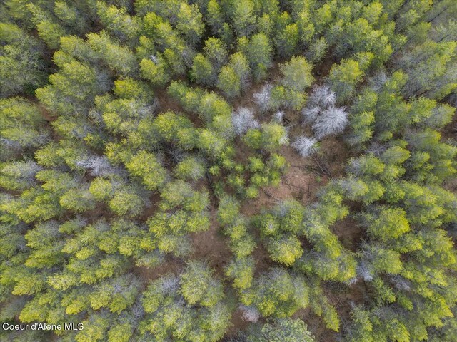 NKA E Trinity Ln, Athol, ID 83801