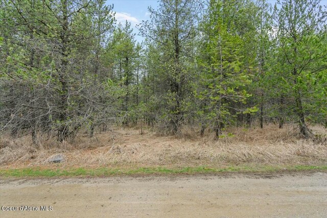 NKA E Trinity Ln, Athol, ID 83801