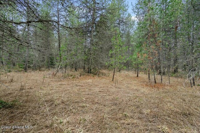 NKA E Trinity Ln, Athol, ID 83801