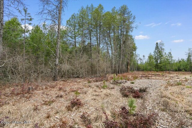 NKA E Trinity Ln, Athol, ID 83801