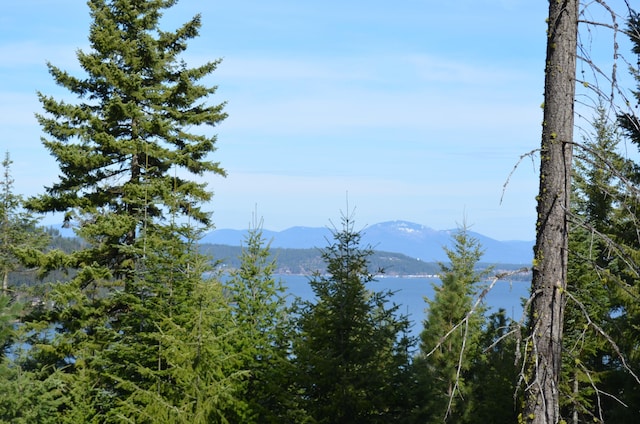 LOT27 Ironstone Rd, Harrison, ID 83833
