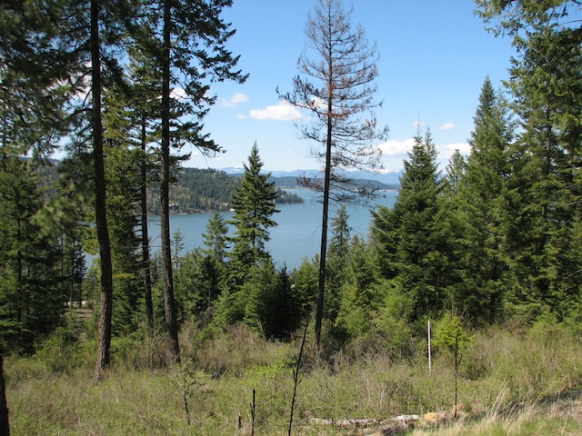 LOT27 Ironstone Rd, Harrison, ID 83833