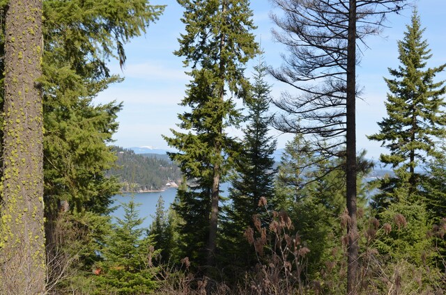 LOT27 Ironstone Rd, Harrison, ID 83833