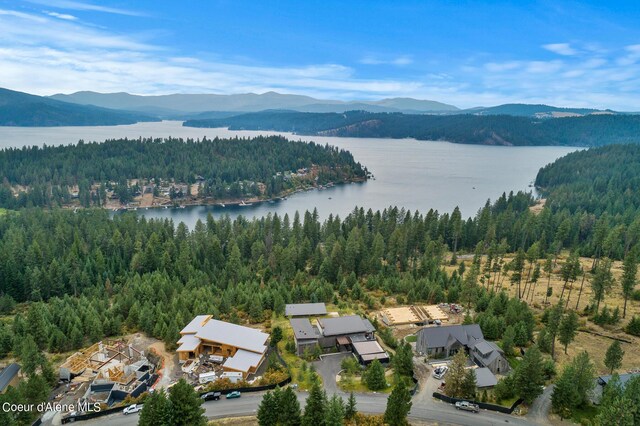 7329 S Buckrail Rd, Harrison, ID 83833