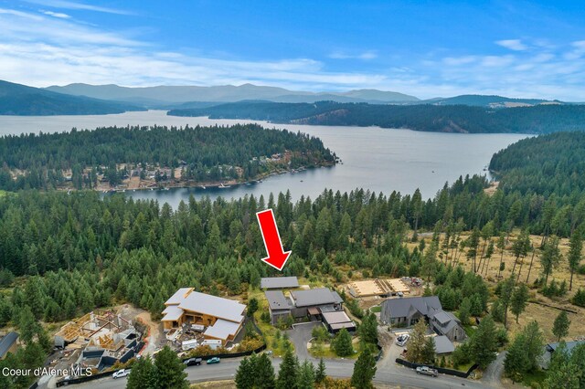 7329 S Buckrail Rd, Harrison, ID 83833