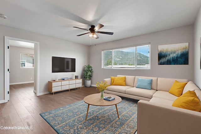 1313 N Division Ave Unit B, Sandpoint, ID 83864 - living area featuring a ceiling fan, plenty of natural light, and wood finished floors