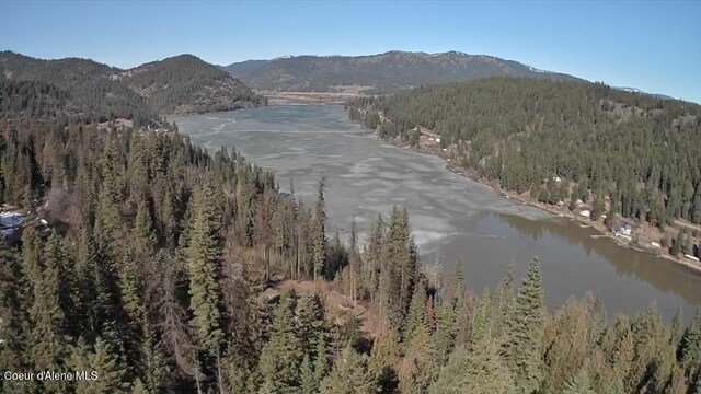 27420 S Hinds Dr, Saint Maries, ID 83861 - photo 6