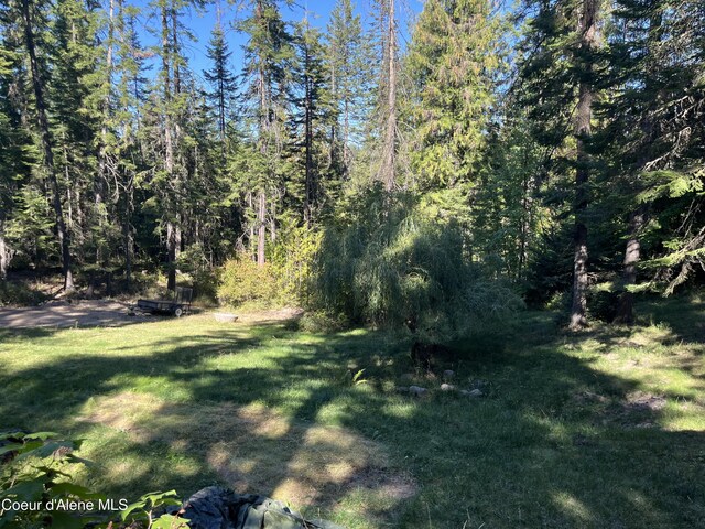 27420 S Hinds Dr, Saint Maries, ID 83861 - photo 13