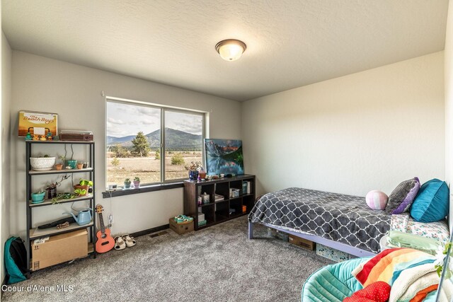 25066 N Old Highway 95, Athol, ID 83801