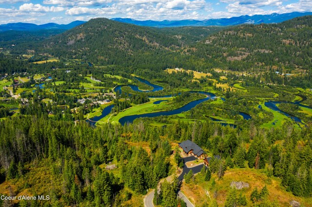 bird's eye view featuring a mountain view and a view of trees