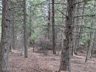 NKA N Triangle 7 Rd, Hayden, ID 83835