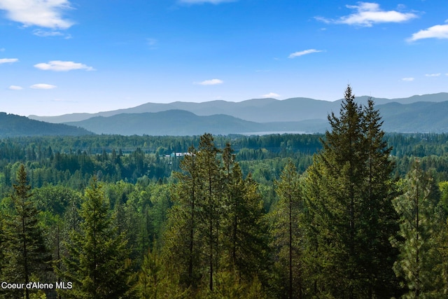 294 Rincon Dr, Sandpoint, ID 83864 - photo 88