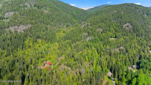 294 Rincon Dr, Sandpoint, ID 83864 - photo 90