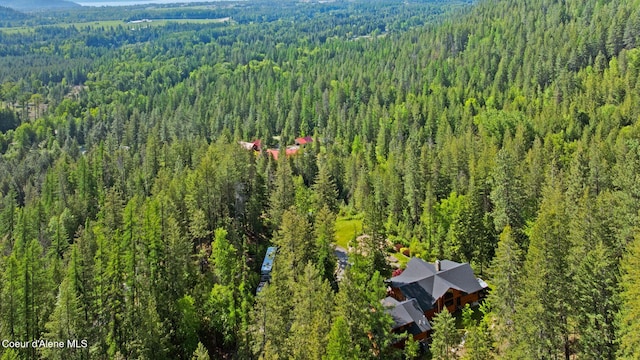 294 Rincon Dr, Sandpoint, ID 83864 - photo 91