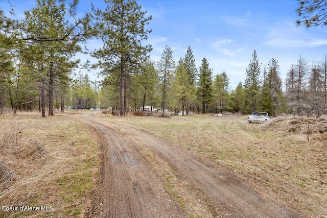 29154 N Old Highway 95, Athol, ID 83801