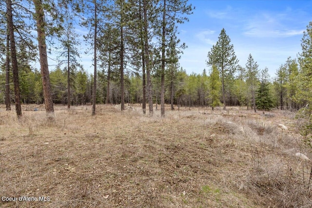 29154 N Old Highway 95, Athol, ID 83801