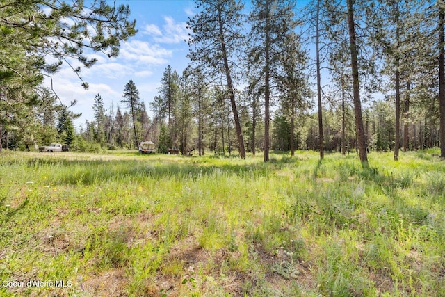 29154 N Old Highway 95, Athol, ID 83801