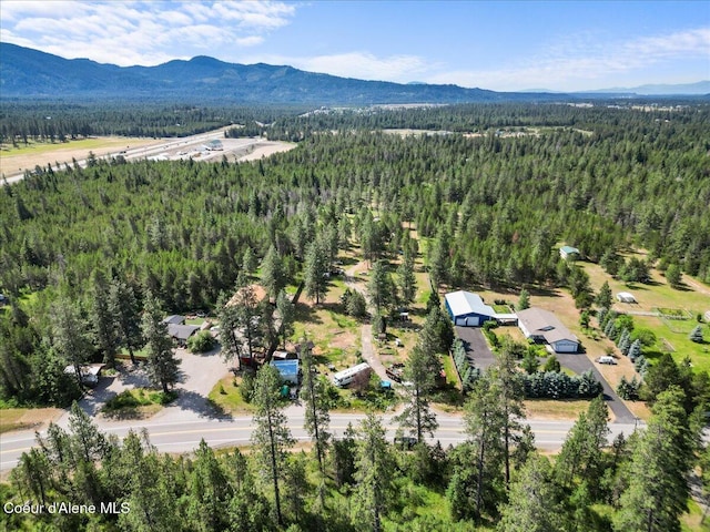 29154 N Old Highway 95, Athol, ID 83801