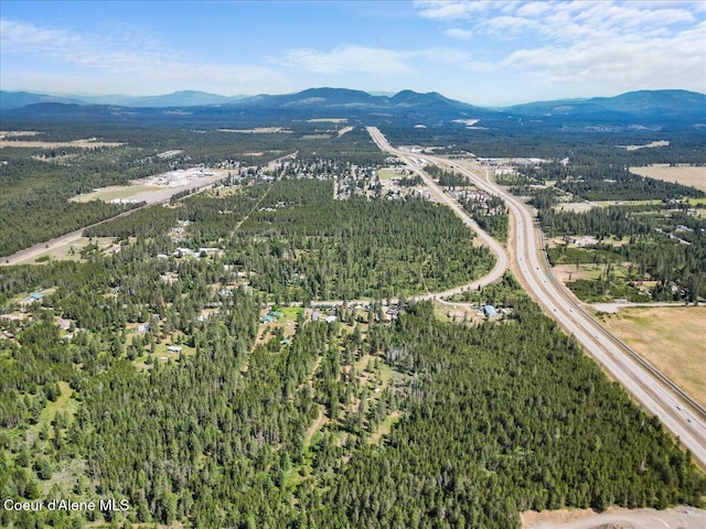 29154 N Old Highway 95, Athol, ID 83801