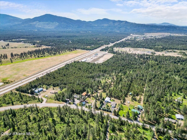 29154 N Old Highway 95, Athol, ID 83801