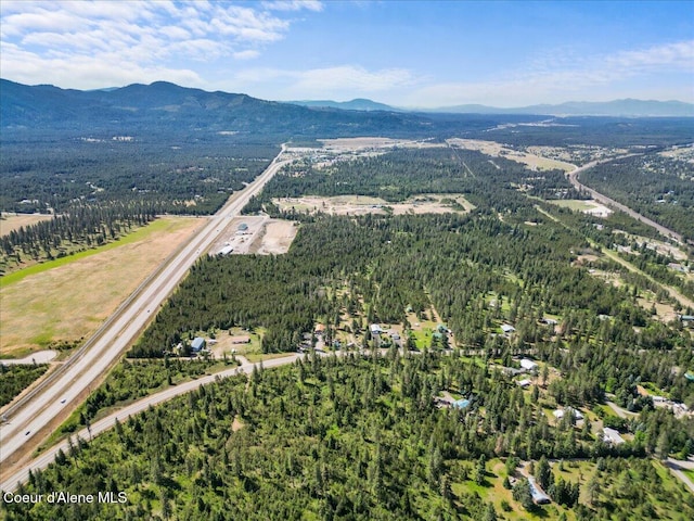 29154 N Old Highway 95, Athol, ID 83801