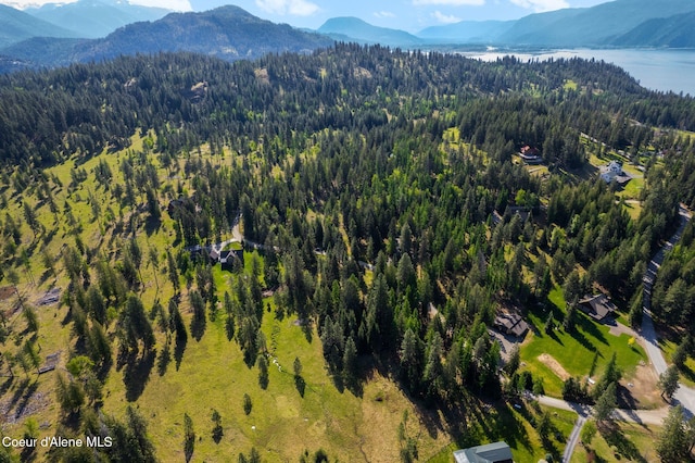 BLK5LOT3 Kiebert Loop, Hope, ID 83836 - photo 7