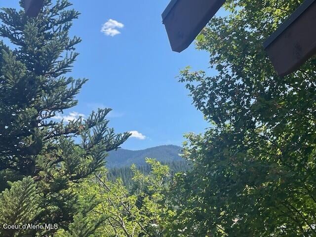 110 Morning Star Dr Unit 152, Kellogg, ID 83837 - view of mountain background with a forest