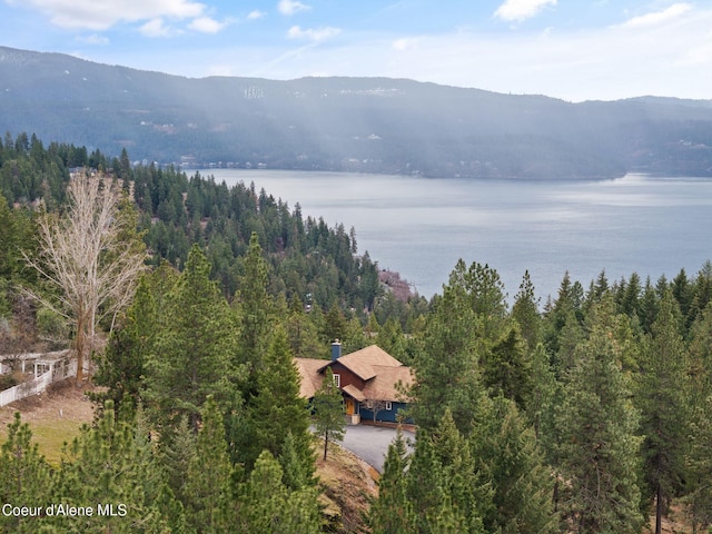 bird's eye view with a water and mountain view and a view of trees