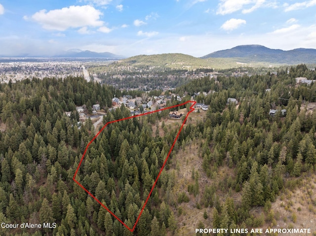 aerial view with a mountain view and a view of trees