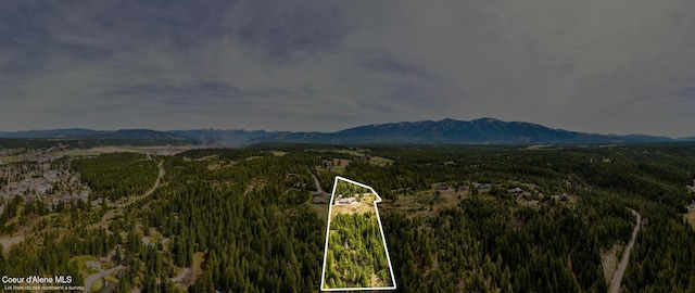 property view of mountains featuring a forest view