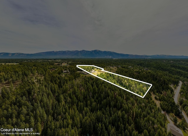 view of mountain feature with a forest view