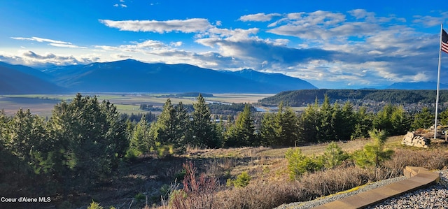 mountain view