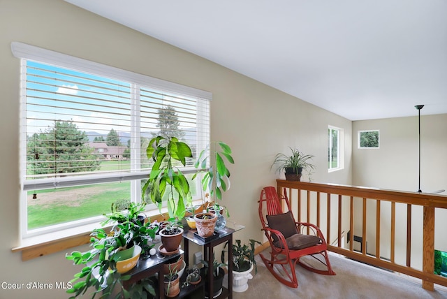 sitting room featuring a healthy amount of sunlight and carpet