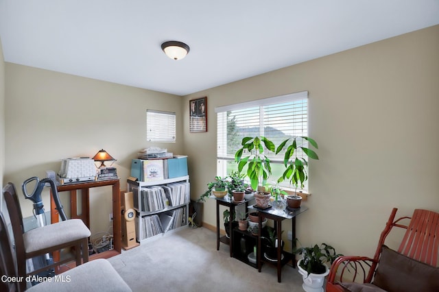 living area featuring carpet