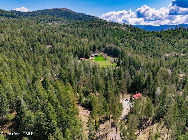 bird's eye view with a mountain view and a view of trees