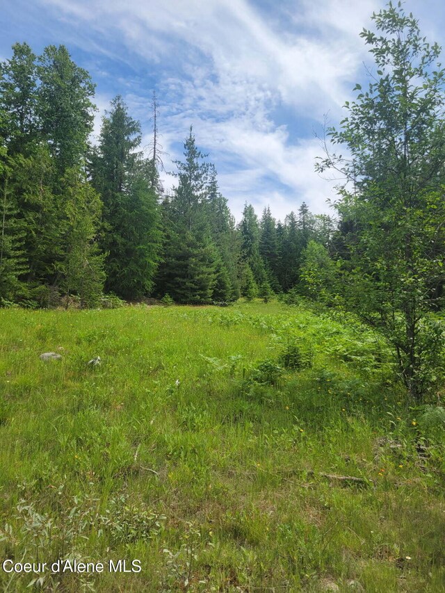 NNA Rising Hawk Ridge Rd, Sandpoint, ID 83864 - photo 2
