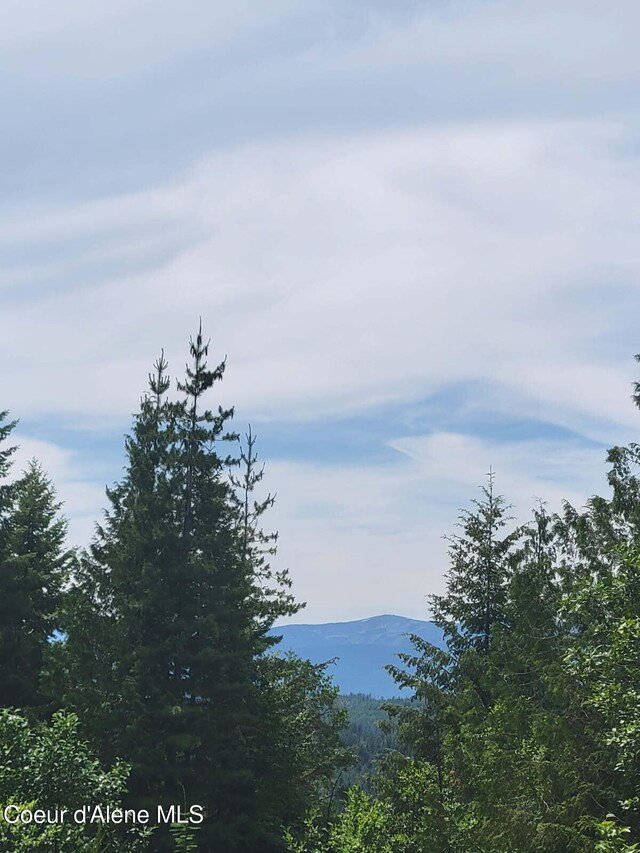 NNA Rising Hawk Ridge Rd, Sandpoint, ID 83864 - photo 7