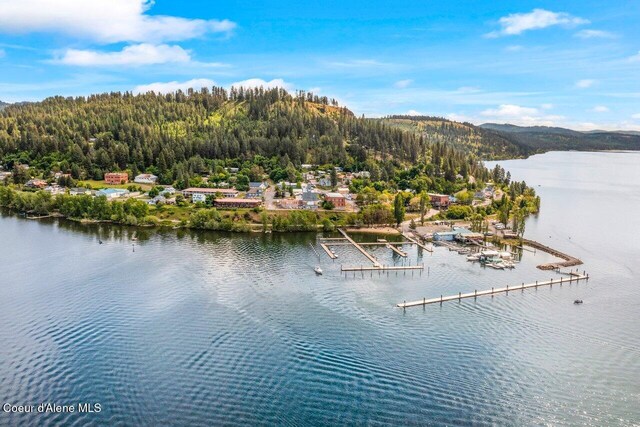 118 E Lincoln Ave, Harrison, ID 83833 - aerial view with a water and mountain view and a view of trees
