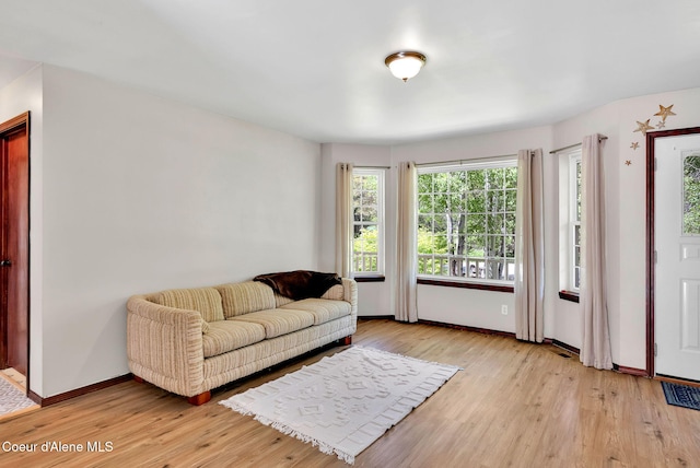 12854 E Hellroaring Rd, Athol, ID 83801 - living room featuring light wood-type flooring and baseboards