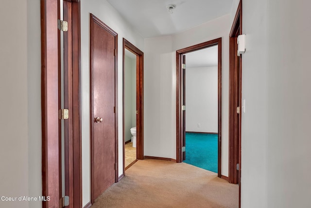 12854 E Hellroaring Rd, Athol, ID 83801 - hall with light colored carpet and baseboards